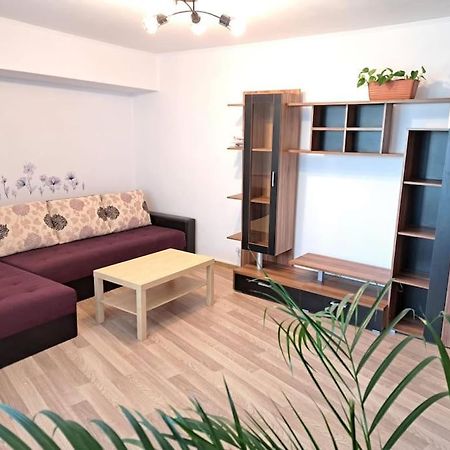Apartament Titulescu/Banu Manta Apartment Bucharest Exterior photo